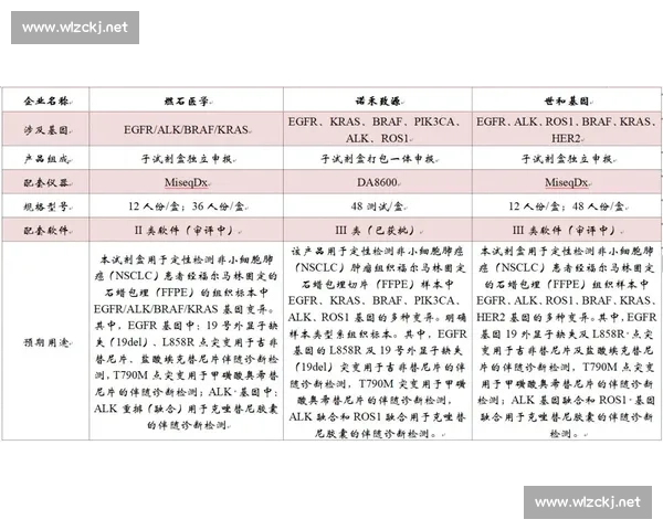 球员评分深度解析与赛季表现对比全景报告